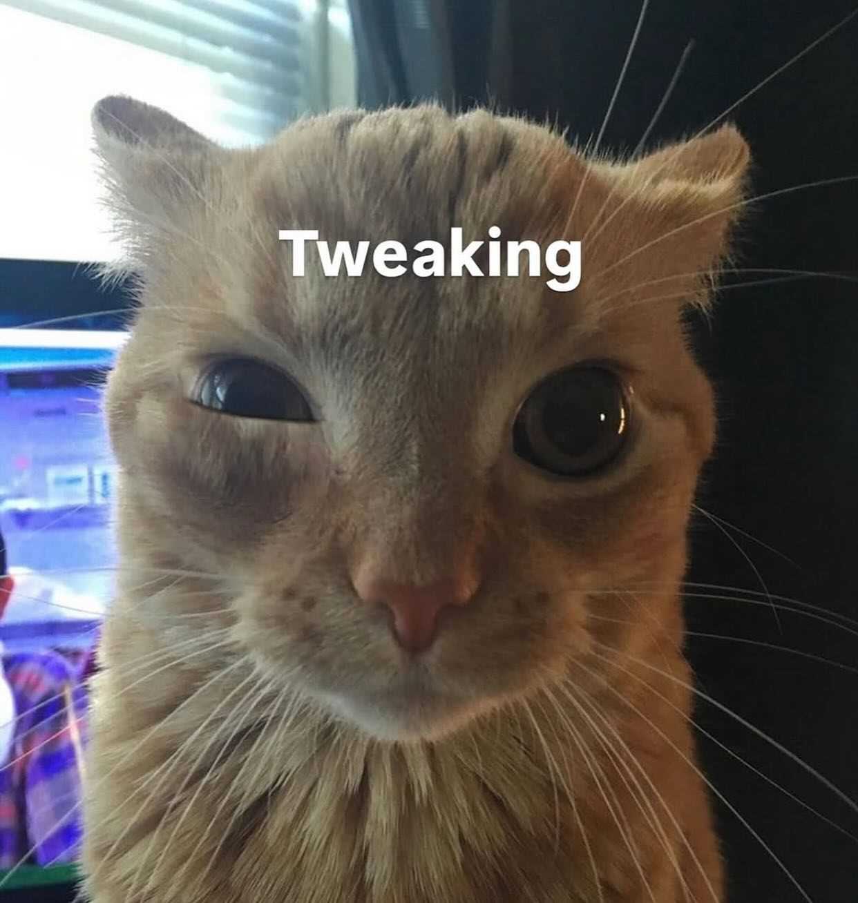 Image of Epicro Test