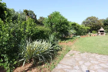 Apartment in Silo (Krk) for Up to 8 Guests