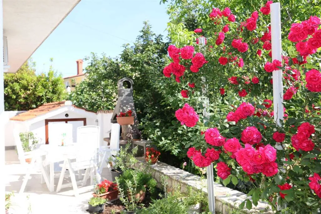 1-Bedroom Apartment in Šilo for Up to 4 Guests