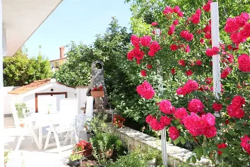 1-Bedroom Apartment in Šilo for Up to 4 Guests