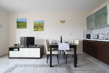 1-Bedroom Apartment in Soline for up to 4 Guests