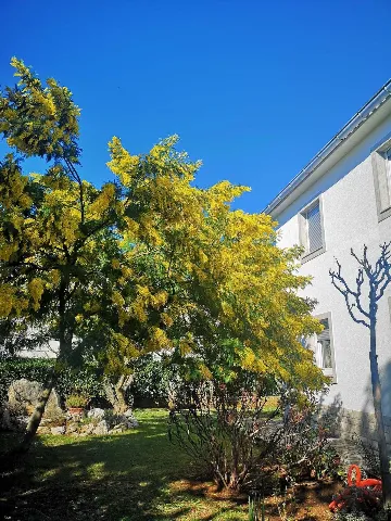 Family Apartment in Šilo with Private Balcony