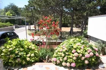 3-Bedroom Apartment in Šilo with Private Balcony