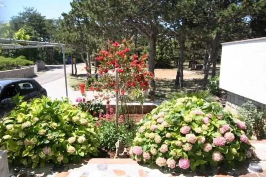 3-Bedroom Apartment in Šilo with Private Balcony
