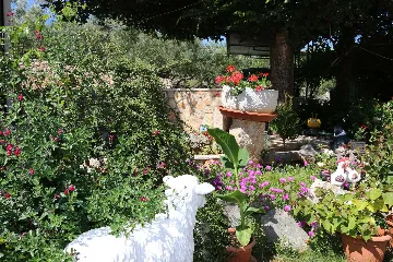 1-Bedroom Apartment in Polje for up to 3 Guests