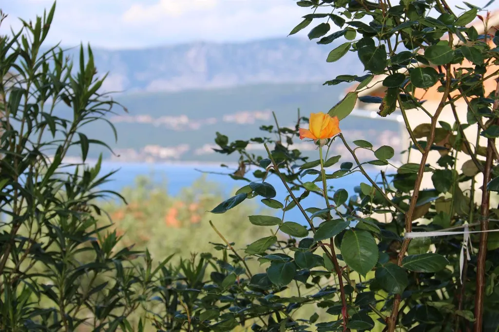 Apartment in Šilo for up to 4 Guests