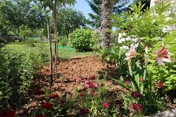 Klimno 1-Bedroom Apartment for Up to 3 Guests