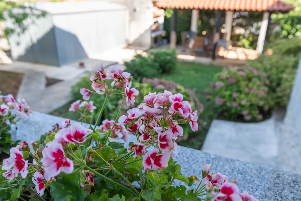 Studio Apartment in Funtana for 2 Guests