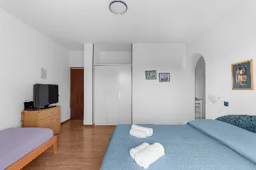 Pet-Friendly Studio for up to 3 in Funtana