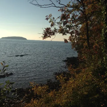 Pet-Friendly Apartment Near the Sea in Funtana for 3