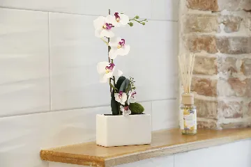 Restored Old Town Studio Apartment in Split