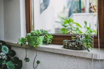 Split 3-Bedroom Apartment with Private Garden