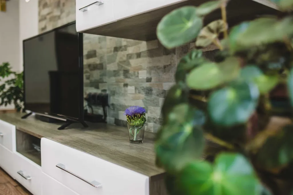 Split 3-Bedroom Apartment with Private Garden