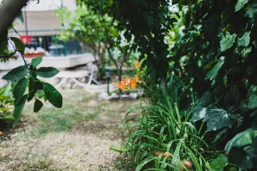 Split 3-Bedroom Apartment with Private Garden