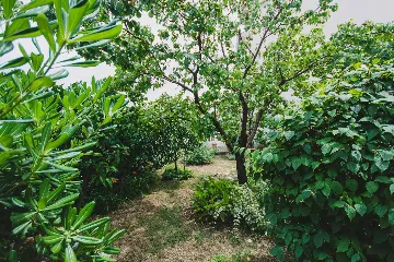 Split 3-Bedroom Apartment with Private Garden