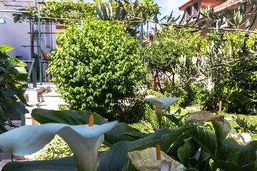 Split 3-Bedroom Apartment with Private Garden