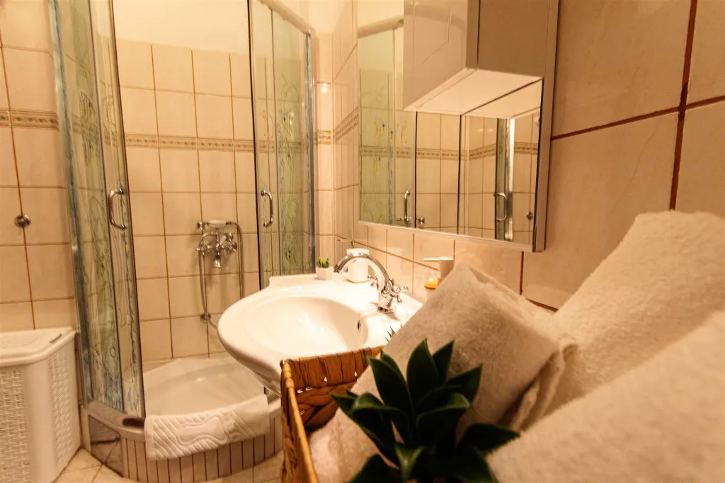 Central Split One-Bedroom Apartment for 3 Guests