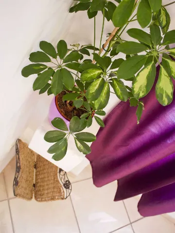 1-Bedroom Apartment in Split for up to 3 Guests