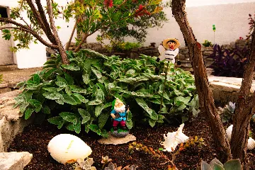 Ground-Floor 1-Bedroom Apartment in Split