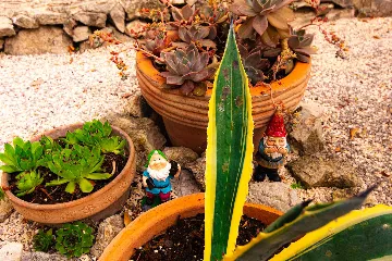 Ground-Floor 1-Bedroom Apartment in Split