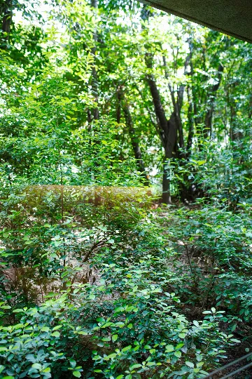 Split 1-Bedroom Apartment for 3 Guests