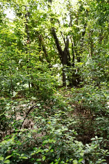 Split 1-Bedroom Apartment for 3 Guests