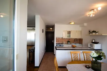 Split 3-Bedroom Apartment with City-View Balcony