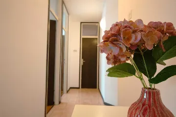 Split 3-Bedroom Apartment with City-View Balcony