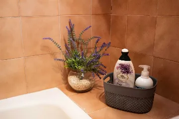 Split 3-Bedroom Apartment with City-View Balcony