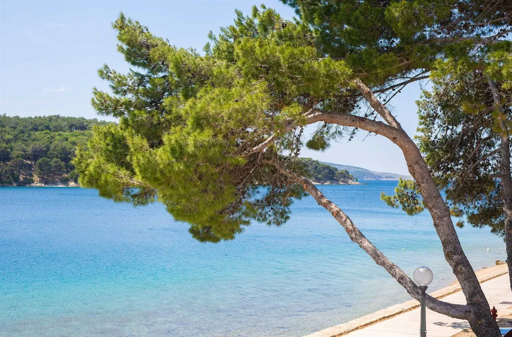 Deluxe Suite Room in Cres for Up to 3 Guests