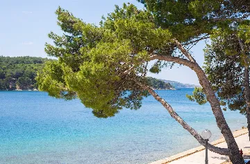 Deluxe Suite Room with Bay & Port View in Cres