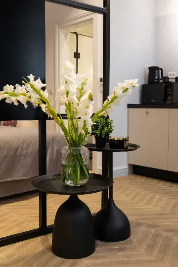 One-Bedroom Apartment in Zagreb