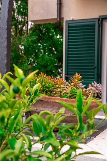 1-Bedroom Apartment in Murter for up to 5 Guests