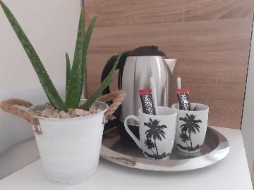 Sea-Front Room with Shared Terrace in Vodice