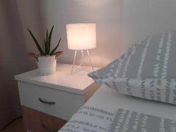 Sea-Front Room with Shared Terrace in Vodice