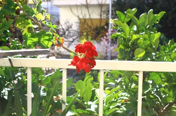 Urban Studio Haven with Parking, Vodice