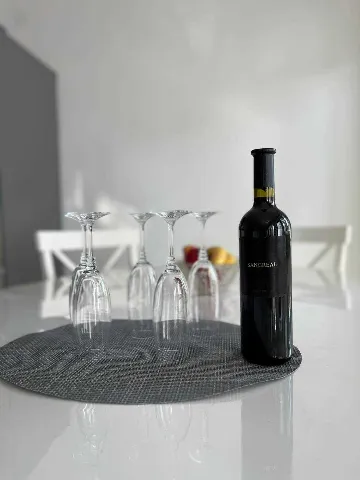 Air-Conditioned 1-Bedroom Apartment in Primošten