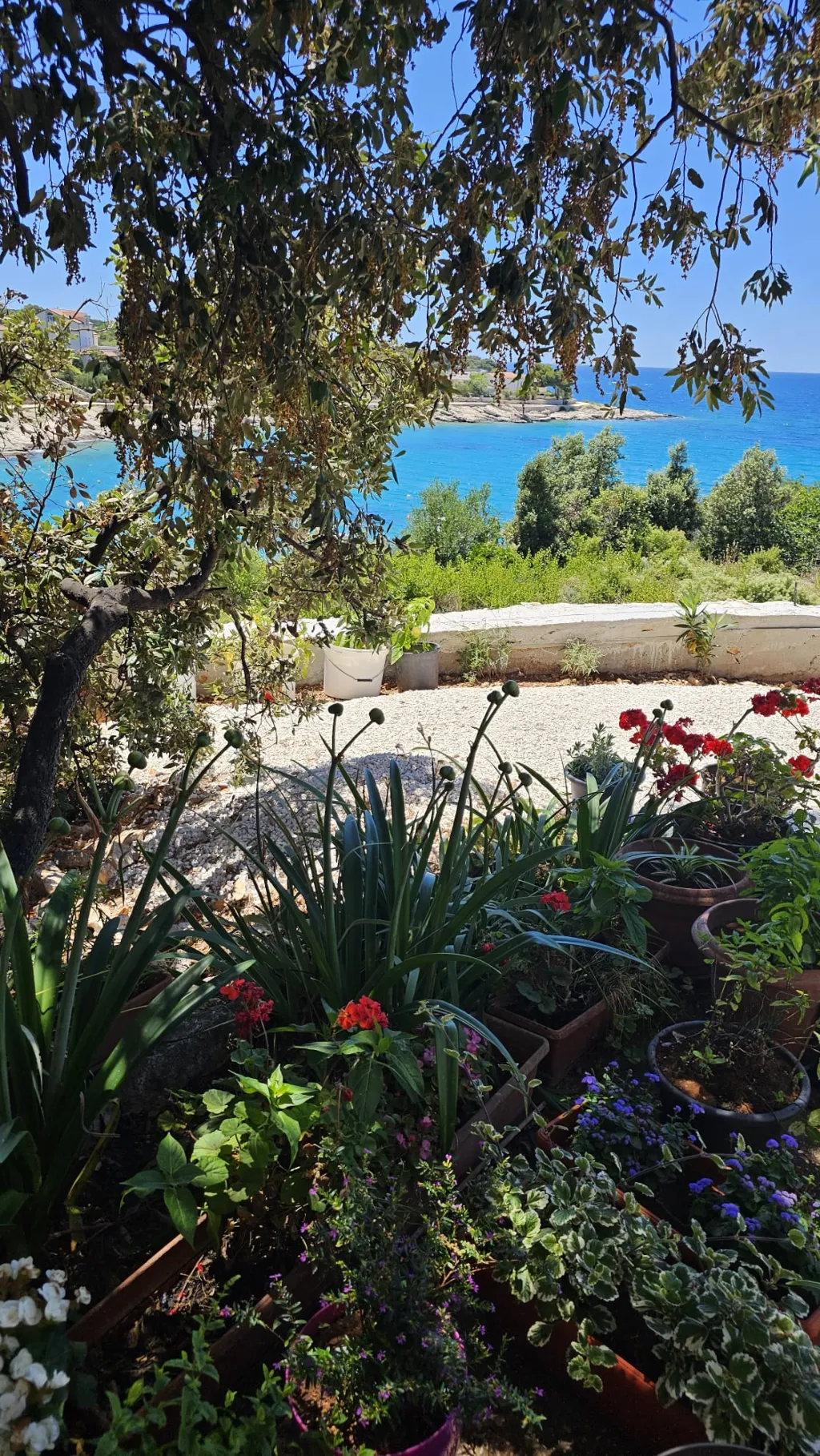 1-Bedroom Apartment in Dolac, Croatia (Sleeps 4)