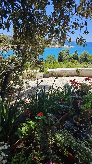 1-Bedroom Apartment in Dolac, Croatia (Sleeps 4)