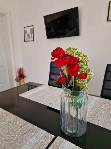 Tribunj Apartment for up to 4 Guests (A3)