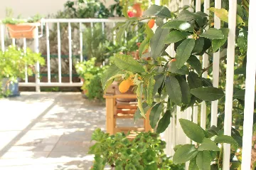 2-Bedroom Apartment in Vodice (Up to 6 Guests)