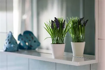 Apartment in Vodice for Up to 6 Guests