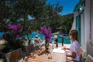 Pet-friendly 2-Bedroom Holiday House in Mali Lošinj