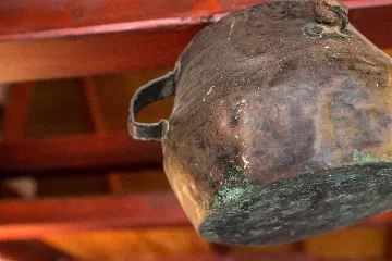 Apartment in Mali Lošinj for 8 Guests (Pet-friendly)