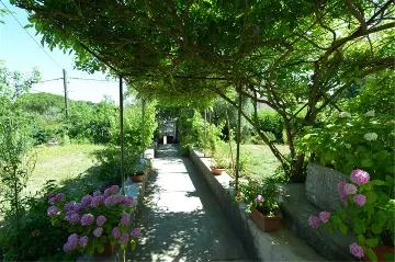 Veli Lošinj 2-Bedroom Apartment for 4 Guests