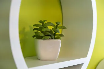 Veli Lošinj 2-Bedroom Apartment for 4 with Pet