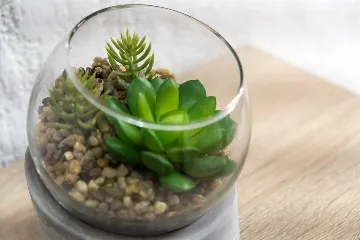 Veli Lošinj 2-Bedroom Apartment for 4 with Pet