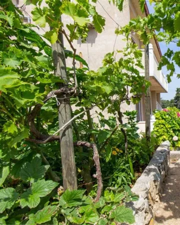 1-Bedroom Apartment in Veli Lošinj for 3 Guests