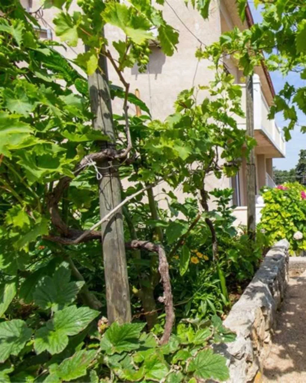 1-Bedroom Apartment in Veli Lošinj for 3 Guests