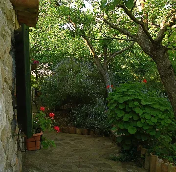 Veli Lošinj 1-Bedroom Apartment for Up to 3